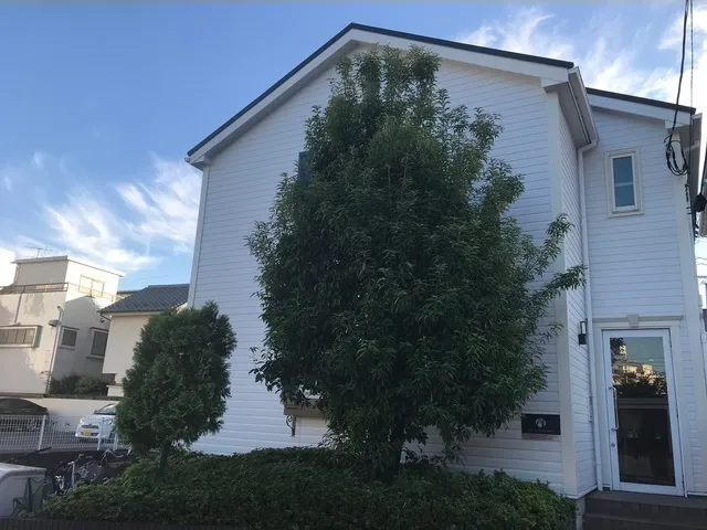Maison Premier 136 - Exterior - ["Woody plant", "Siding", "Conifers"]