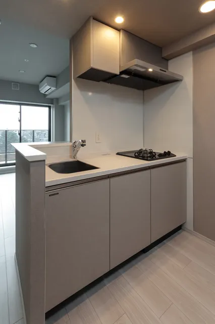 Terra Silk Forest - Interior - ["Floor", "Kitchen", "Apartment"]