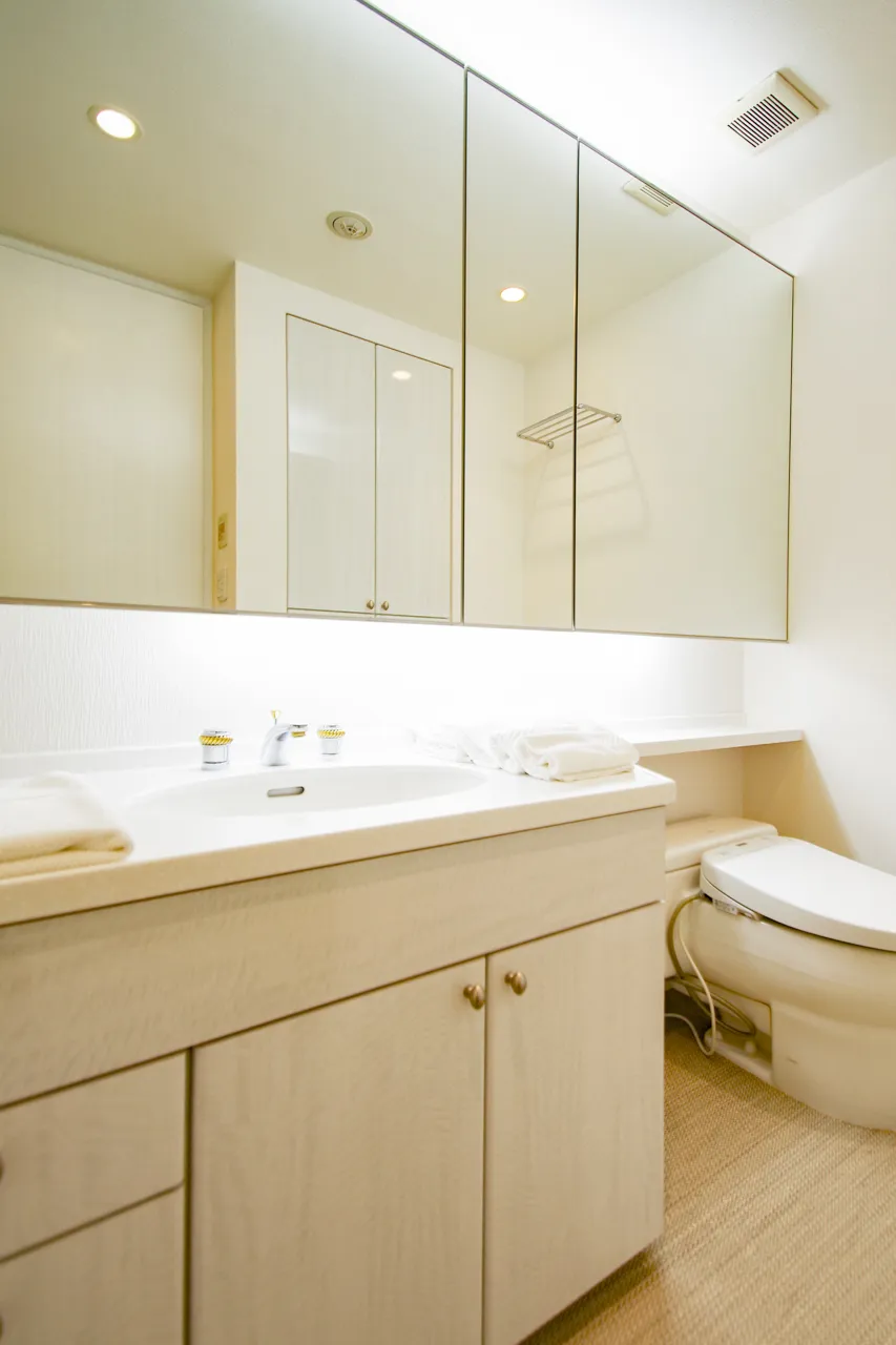 La Tour Shibakoen - Interior - ["Mirror", "Bathroom cabinet", "Tap"]