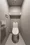 Terra Silk Forest - Interior - ["Toilet seat", "Toilet", "Flooring"] thumbnail