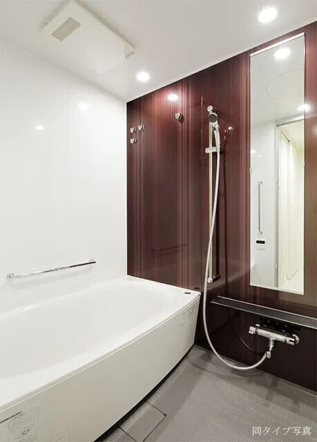 Comforia Akasaka - Interior - ["Bathtub", "Plumbing fixture", "Shower head"]