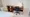 Hmlet Nishikoyama - Interior - ["Furniture", "Wood", "Interior design"] thumbnail