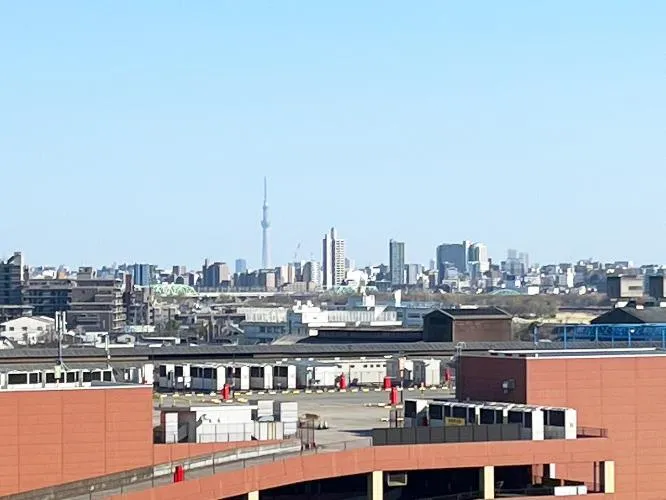 Royal City Kawaguchi West Room 906