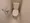 Reterras Magome - Interior - ["Toilet seat", "Toilet", "Plumbing fixture"] thumbnail