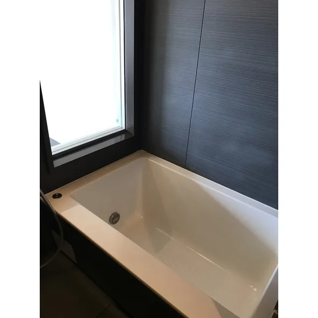 Comforia Shinjuku East Side Tower - Interior - ["Bathtub", "Plumbing fixture", "Plant"]