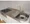 Park Cube Ginza East - Interior - ["Plumbing fixture", "Kitchen Sink", "Sink"] thumbnail
