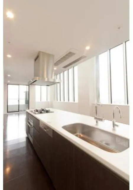 Park Cube Meguro Tower - Interior - ["Kitchen", "Flooring", "Countertop"]