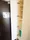 Residia Bunkyo Otowa II - Interior - ["Fixture", "Door", "Building"] thumbnail
