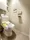 Brookside Residence Kiba - Interior - ["Toilet seat", "Toilet", "Plumbing fixture"] thumbnail