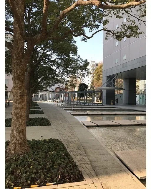 Bunkyo Green Court View Tower Honkomagome - Exterior - ["Tree", "Property", "Architecture"]