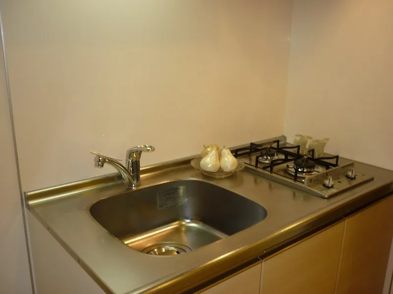 Residia Sasazuka II - Interior - ["Kitchen Sink", "Plumbing fixture", "Kitchen"]