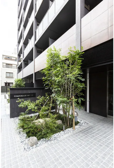 Comforia Live Negishi Nichome - Exterior - []