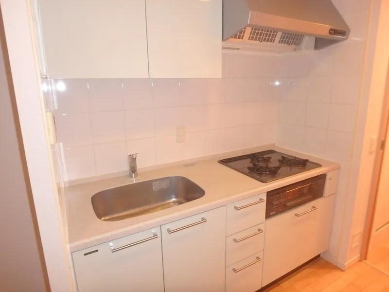 Esty Maison Toyosu Residence - Interior - ["Kitchen", "Kitchen Sink", "Flooring"]
