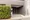Zelkova Takaido - Exterior - ["Plant", "Fixture", "Building"] thumbnail