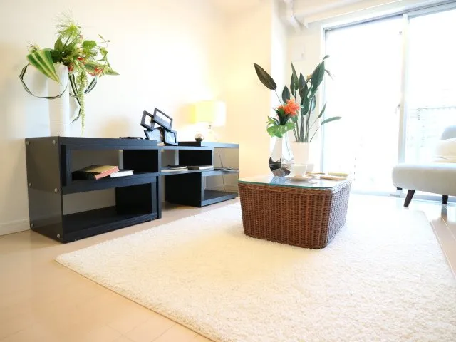 Proud Flat Monzen Nakamachi II - Interior - ["Plant", "Property", "Furniture"]