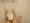 Spacia Sangenjaya No.2 - Interior - ["Toilet", "Toilet seat", "Property"] thumbnail