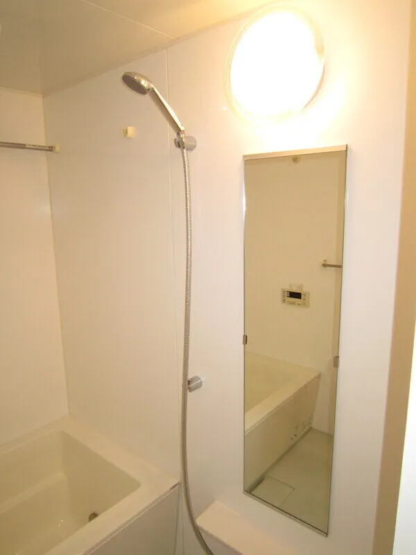 Epic Higashi Nihonbashi Residence - Interior - ["Bathroom", "Plumbing fixture", "Flooring"]