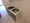 Shell Kamiikedai - Interior - ["Floor", "Apartment", "Wood flooring"] thumbnail