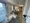 Crevia Rigze Kamata Nishi - Interior - ["Interior design", "Flooring", "Floor"] thumbnail