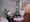 Arden Shiba Park - Interior - ["Flooring", "Interior design", "Floor"] thumbnail