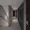 Atrio Flats Nakano - Other - ["Building", "Flooring", "Floor"] thumbnail