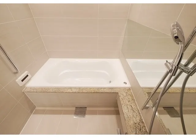 Comforia Shinjuku East Side Tower - Interior - ["Bathroom", "Bathtub", "Plumbing fixture"]
