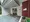 KDX Residence Higashi Shinjuku - Exterior - ["Property", "Plant", "Fixture"] thumbnail