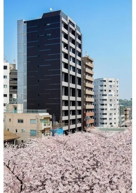 Park Flats Nakameguro - Exterior - ["Residential area", "Condominium", "Human settlement"]