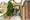 Belle Maison (3 Floor Maisonette) - Exterior - ["Plant", "Building", "Road surface"] thumbnail