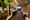 Proud Flat Ryogoku South - Other - ["Interior design", "Furniture", "Flooring"] thumbnail