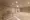 Proud Flat Shinagawa Oimachi - Other - ["Flooring", "Wood", "Floor"] thumbnail