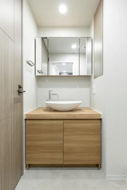 Terrace Tsukishima - Interior - ["Mirror", "Bathroom cabinet", "Tap"]