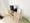Mynavi STAY Tsukishima - Interior - [] thumbnail