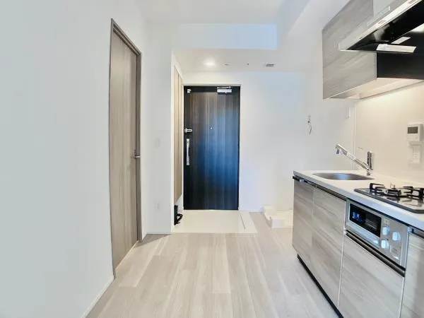 Brillia Tower Hamarikyu - Interior - ["Flooring", "Wood", "Floor"]