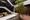 RESIDENCE KOENJI  - Exterior - ["Stairs", "Composite material", "Handrail"] thumbnail