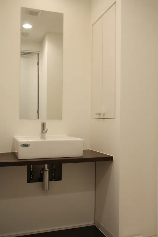 De Sole Higashi Ikebukuro - Interior - ["Bathroom Sink", "Wall", "Plumbing fixture"]