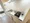 Mynavi STAY Global Harajuku Maison - Interior - [] thumbnail