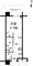 Prime Urban Kinshi Park - Floor Plan - [] thumbnail