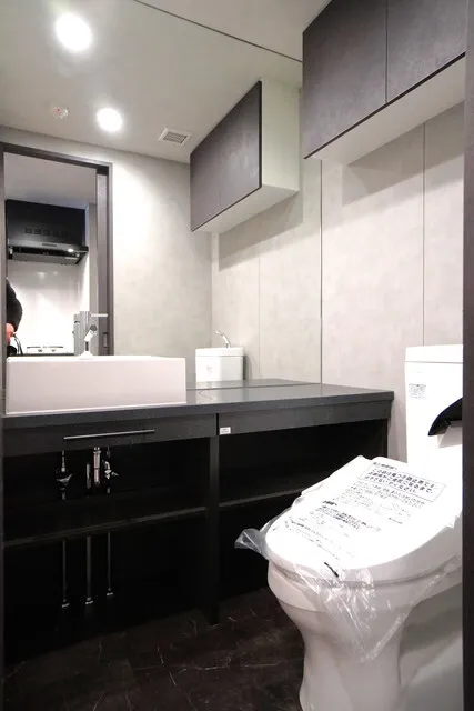 Alibio Gakugei Daigaku - Interior - ["Cabinetry", "Plumbing fixture", "Countertop"]