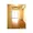 Comforia Asakusabashi - Interior - ["Window", "Fixture", "Hall"] thumbnail