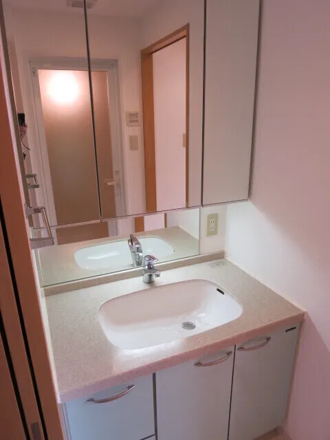 Doue Kiyosumi Shirakawa - Interior - ["Bathroom Sink", "Plumbing fixture", "Flooring"]