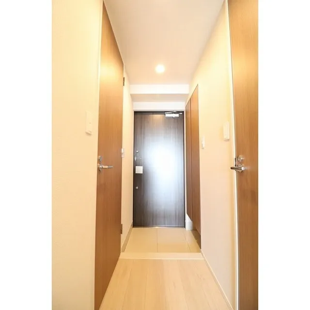 Laxrass Iwata - Interior - ["Door", "Fixture", "Wood"]
