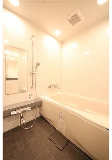 Castalia SuitenguⅡ - Interior - ["Bathtub", "Mirror", "Plumbing fixture"]