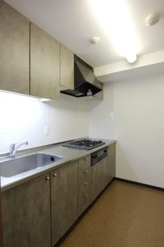 Prime Urban Shinkawa - Interior - ["Tap", "Kitchen sink", "Cabinetry"]