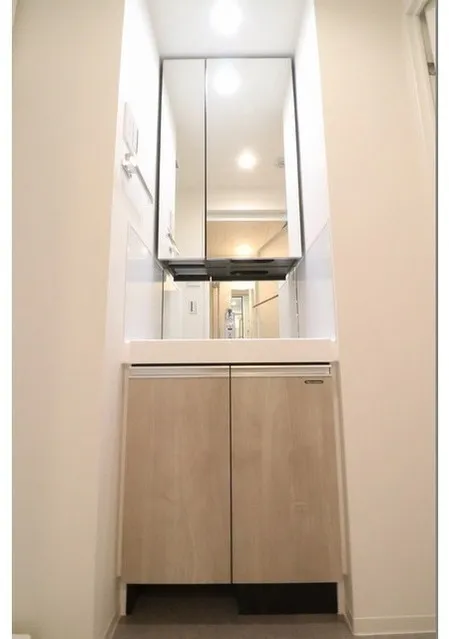 Asyl Court Nerima Nakamurabashi - Interior - ["Wood", "Flooring", "Interior design"]