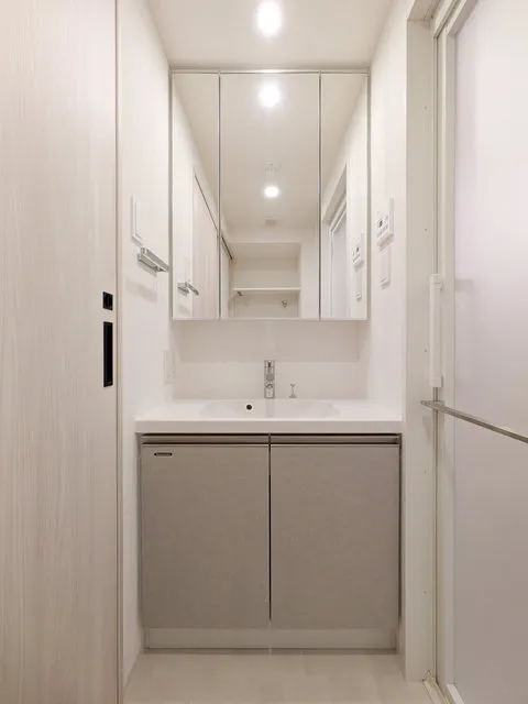 Duet Ryogoku 4 - Interior - ["Flooring", "Floor", "Wood"]