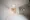 Blanchesta Iriya Grande - Interior - ["Flooring", "Floor", "Ceiling"] thumbnail