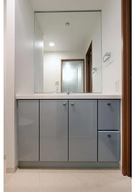 Residence Charmant Tsukishima - Interior - ["Wood", "Flooring", "Cabinetry"]