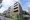 Lupinus Azabu City Form thumbnail