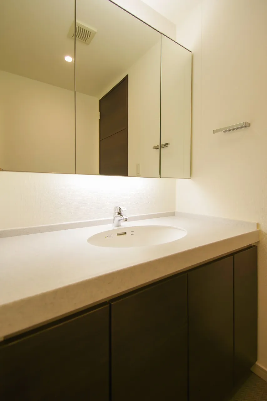 Platine Nishi Shinjuku - Interior - ["Brown", "Mirror", "Tap"]